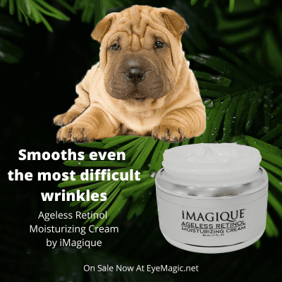 Ageless Retinol Moisturizing Cream by iMagique